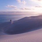 Socotra